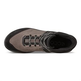 Ecco Biom 2GO M Mid GTX støvler, black/d.clay