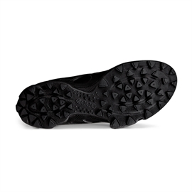 Ecco Biom C-Trail GTX Men, black