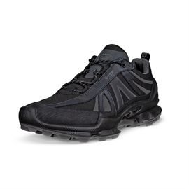 Ecco Biom C-Trail GTX Men, black