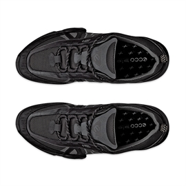 Ecco Biom C-Trail GTX Men, black