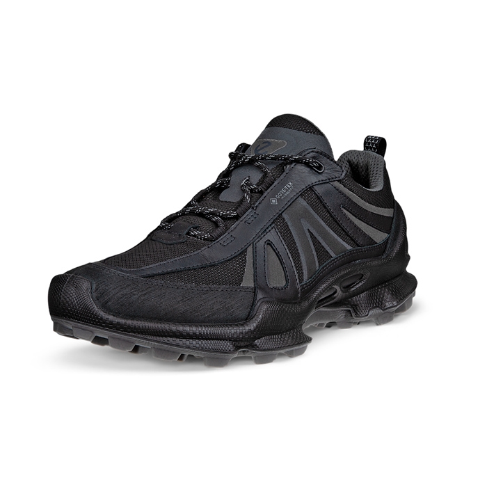 Ecco Biom C-Trail GTX Men, black