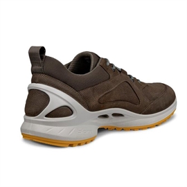 Ecco Biom Energi Men, dark clay