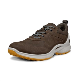 Ecco Biom Energi Men, dark clay