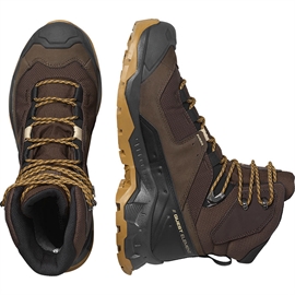 Salomon Quest Element GTX Herre, delicoso, black, dull gold