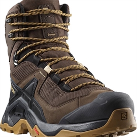 Salomon Quest Element GTX Herre, delicoso, black, dull gold