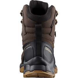 Salomon Quest Element GTX Herre, delicoso, black, dull gold