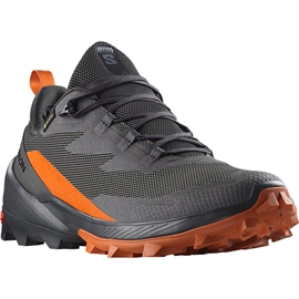 Salomon Cross Over 2 GTX, magnet/phantom/spice