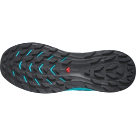 Salomon Ultra Flow, carbon/tahitian tide/deep dive