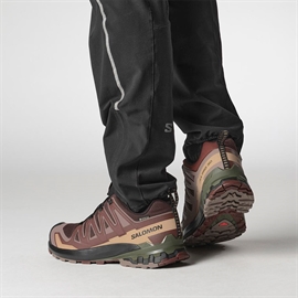 Salomon XA Pro 3D v9 GTX Men, blk coffee/r.raisin-43 1/3 / UK 9