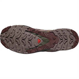 Salomon XA Pro 3D v9 GTX Men, blk coffee/r.raisin-43 1/3 / UK 9