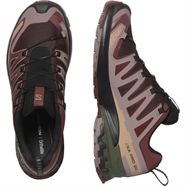 Salomon XA Pro 3D v9 GTX Men, blk coffee/r.raisin-43 1/3 / UK 9