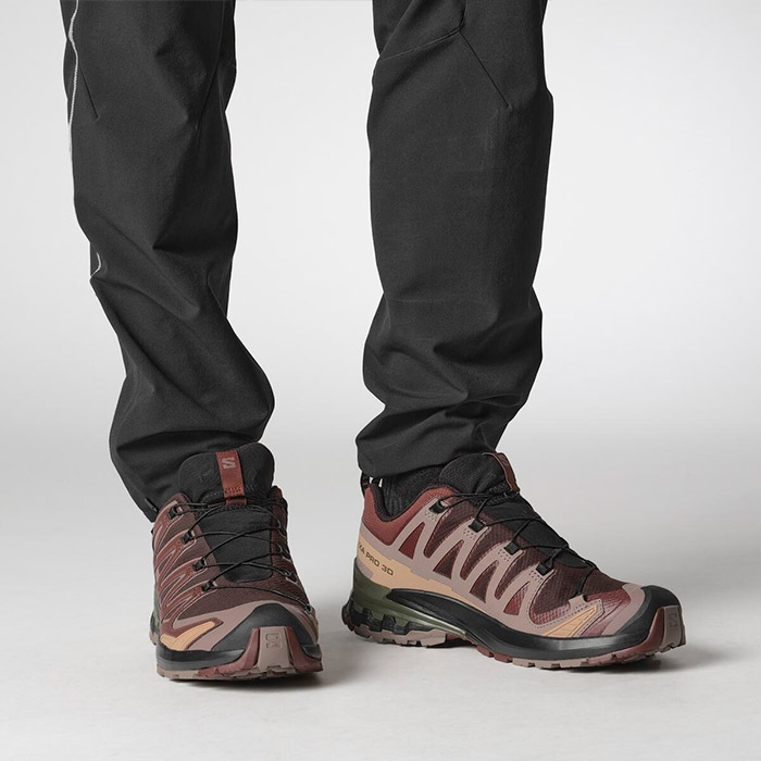 Salomon Xa Pro 3d V9 Gtx Herre / Mænd Blk Brune/r.raisin 41 1/3 / Uk 7 5 Vandresko