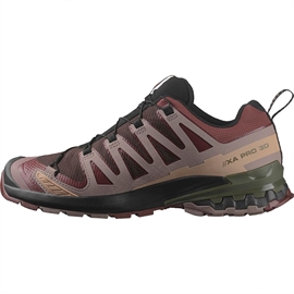 Salomon XA Pro 3D v9 GTX Men, blk coffee/r.raisin-43 1/3 / UK 9