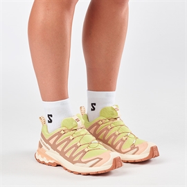 Salomon XA Pro 3D v9 Women, endive/burro/almond cream
