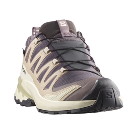 Salomon XA Pro 3D v9 GTX Women, iron/oxford/alfalf