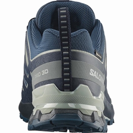 Salomon XA Pro 3D v9 GTX Men, spellb/mar blue