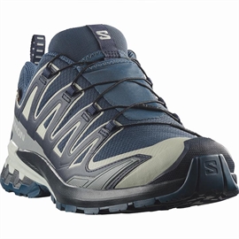 Salomon XA Pro 3D v9 GTX Men, spellb/mar blue
