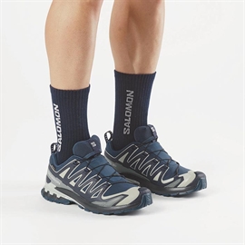 Salomon XA Pro 3D v9 GTX Men, spellb/mar blue