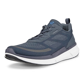 Ecco Biom 2.2 Men, ombre-45