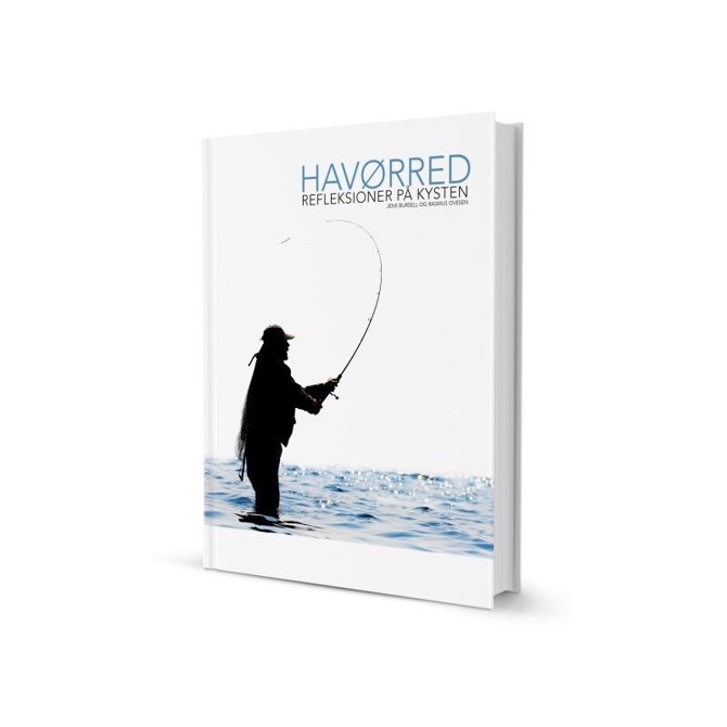 Havørred refleksioner på kysten