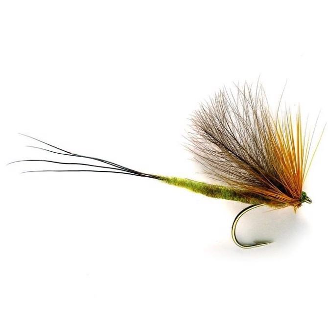 Mayfly Connamara olive, str. 10