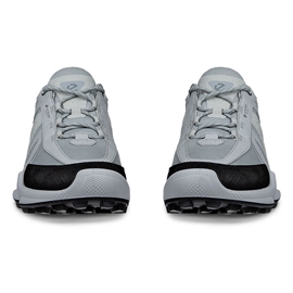 Ecco Biom C-Trail GTX Men, concrete