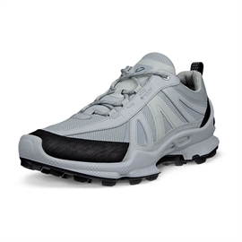 Ecco Biom C-Trail GTX Men, concrete