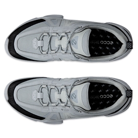Ecco Biom C-Trail GTX Men, concrete