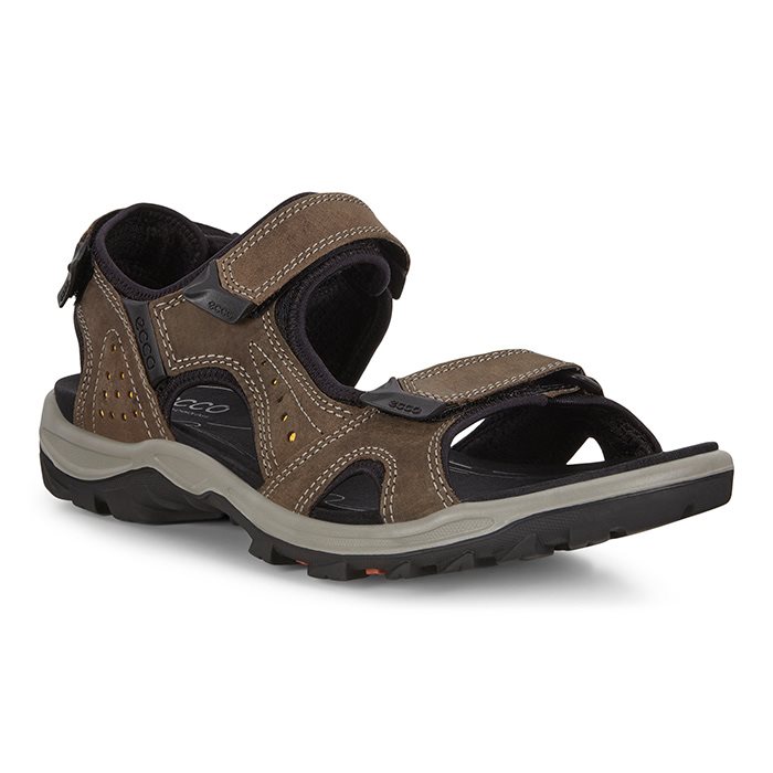 Ecco Offroad Lite M sandal, dark clay