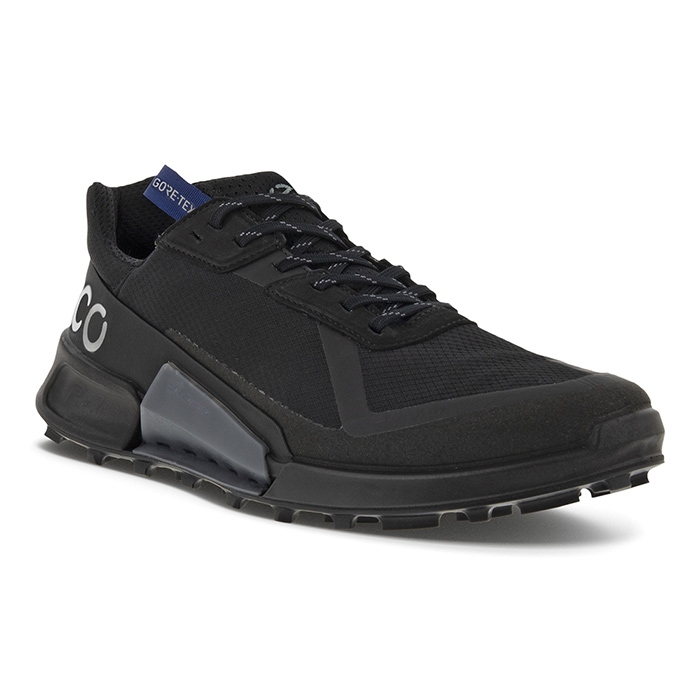 Ecco BIOM 2.1 Country GTX, black/black-42 - Vandresko