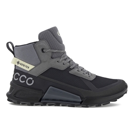 Ecco BIOM 2.1 Mountain GTX Women, black/steel