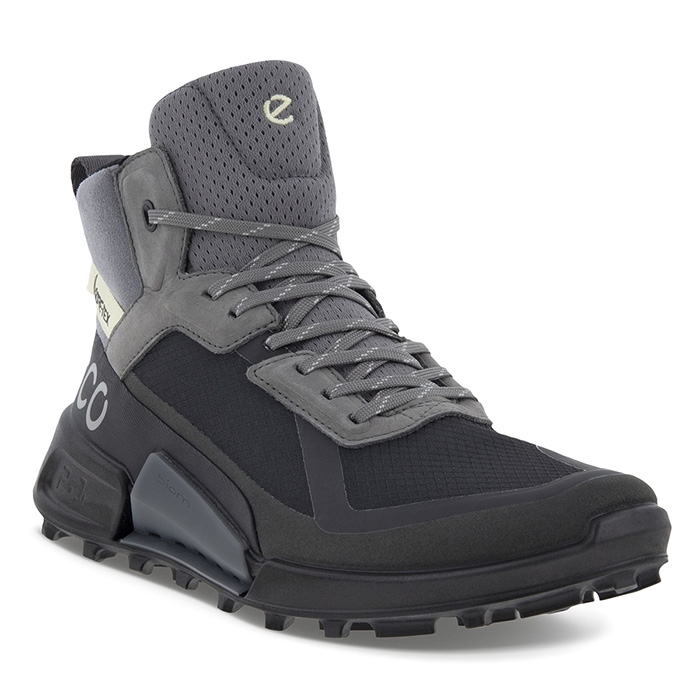 Ecco BIOM 2.1 Mountain GTX Women, black/steel - Vandrestøvler