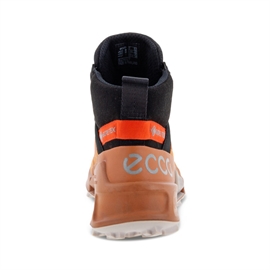 Ecco BIOM 2.1 Mountain GTX Women, sierra