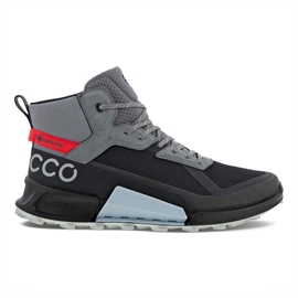 Ecco BIOM 2.1 Mountain GTX Men, black/steel