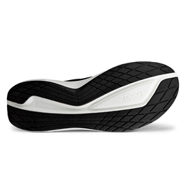 Ecco Biom 2.2 GTX Men, black