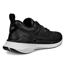Ecco Biom 2.2 GTX Men, black