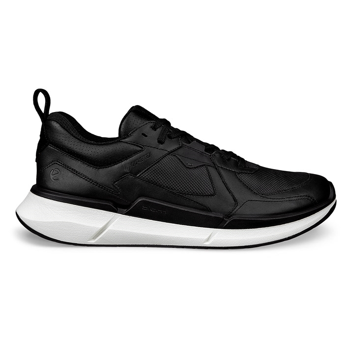 Ecco Biom 2.2 GTX Men, black
