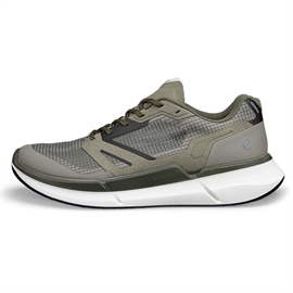 Ecco Biom 2.2 Tex Men, smokey olive