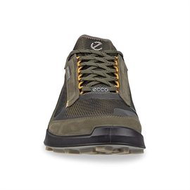 Ecco Biom 2.1 X Mountain Waterproof Men, gr.leaf/tarmac