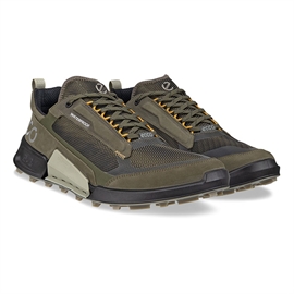 Ecco Biom 2.1 X Mountain Waterproof Men, gr.leaf/tarmac