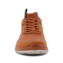 Ecco BIOM 2.1 Country GTX Women, sierra