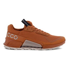 Ecco BIOM 2.1 Country GTX Women, sierra