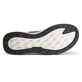 Ecco Biom 720 Leather GTX Women, black