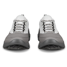 ECCO Biom 720 Low GTX Leather Men, concrete