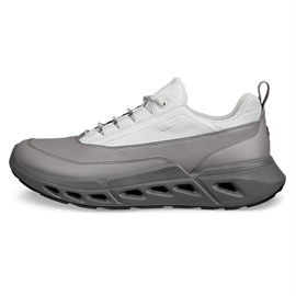 ECCO Biom 720 Low GTX Leather Men, concrete