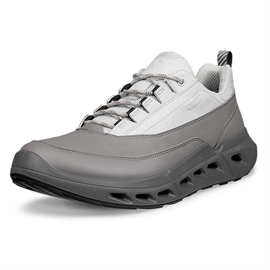 ECCO Biom 720 Low GTX Leather Men, concrete