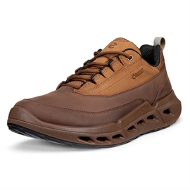 ECCO Biom 720 Low GTX Leather Men, cocoa brown