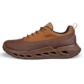 ECCO Biom 720 Low GTX Leather Men, cocoa brown