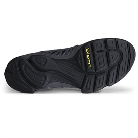 Mød Ecco BIOM AEX GTX Leather Men, black