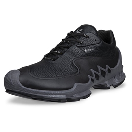 Mød Ecco BIOM AEX GTX Leather Men, black